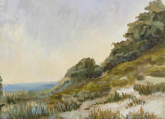 Evening in the Dunes