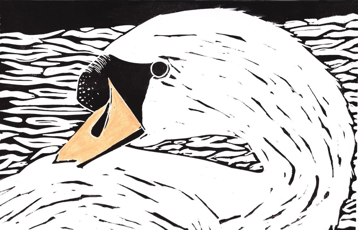 Swan by Billie Josef