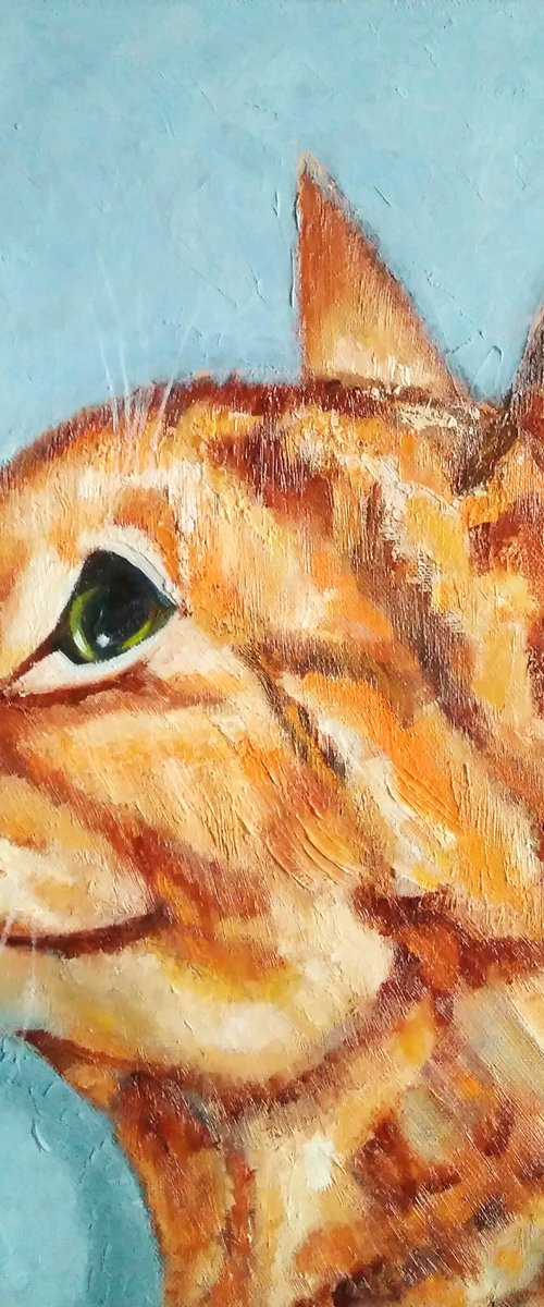 Red cat, 40x40 cm, ready to hang. by Yulia Berseneva