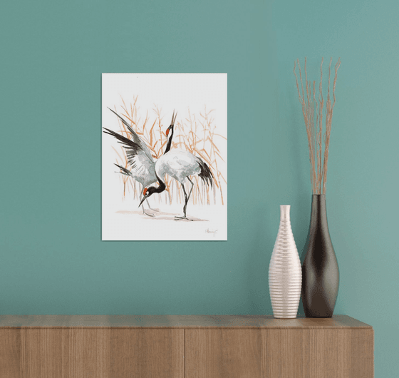 Japanese Cranes Dancing