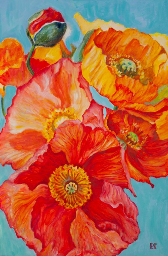 Poppies