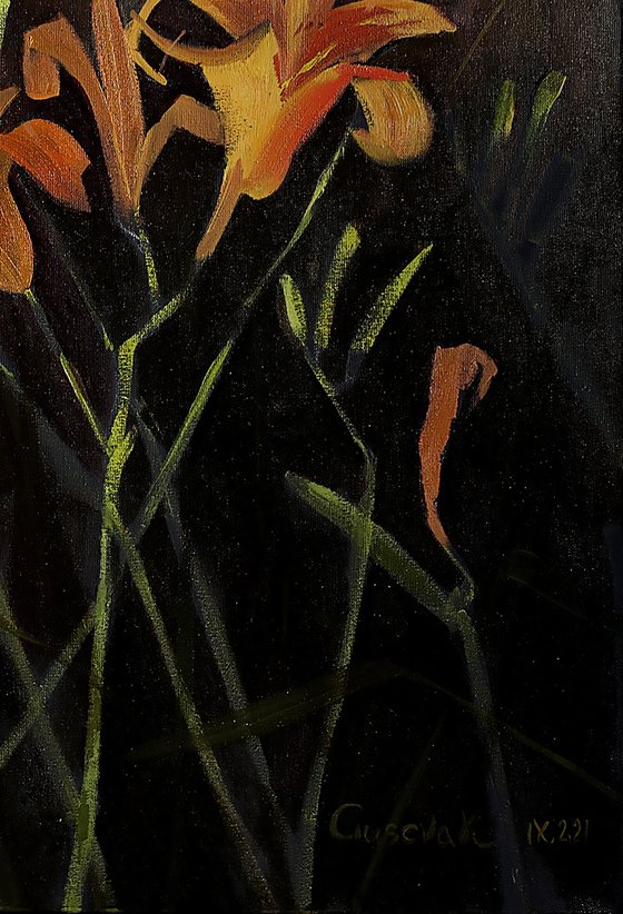 Lilies on black