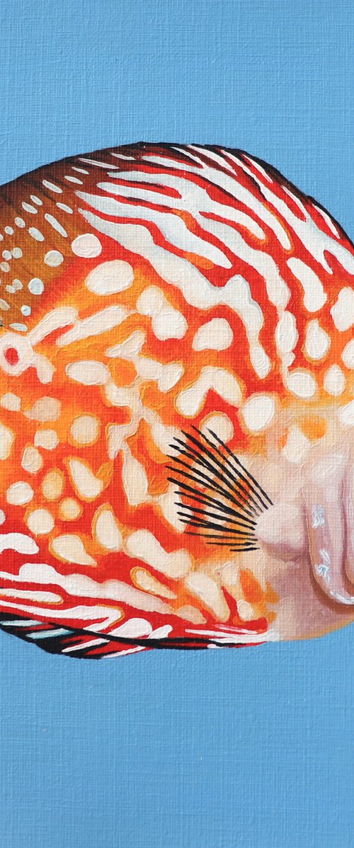 I SEE YOU 134 by Milie Lairie