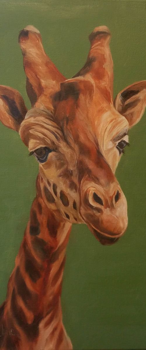 Giraffe by Thuline De Cock