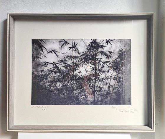 (FRAMED) The power of simplicity II