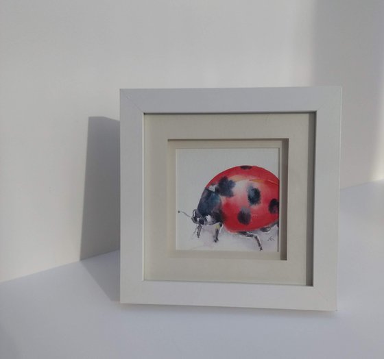 Ladybird painting, ladybug, original watercolour, watercolor, small painting, red, spots, Coccinellidae