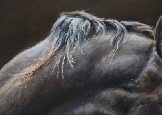 Horse (mare) and foal, equine, equestrian
