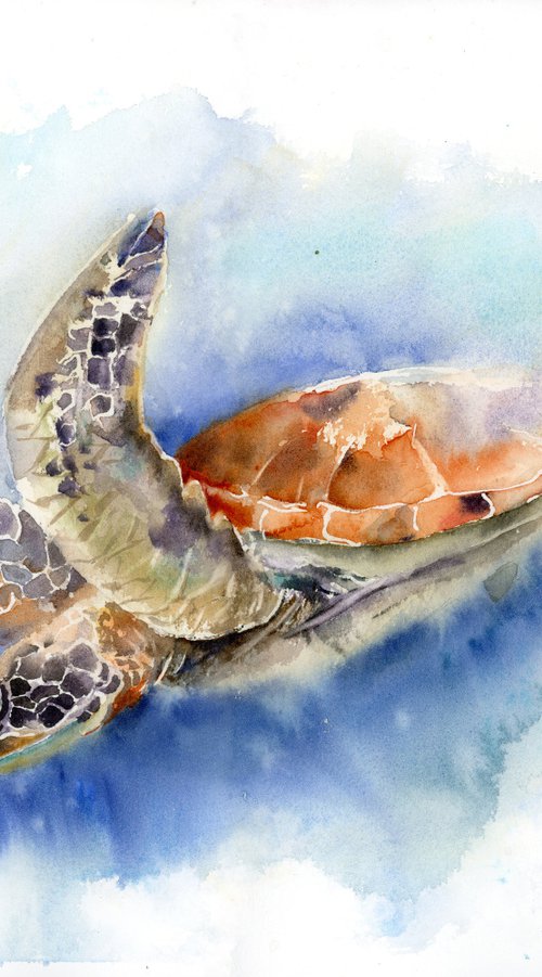 Swimming Sea turtle by Olga Tchefranov (Shefranov)