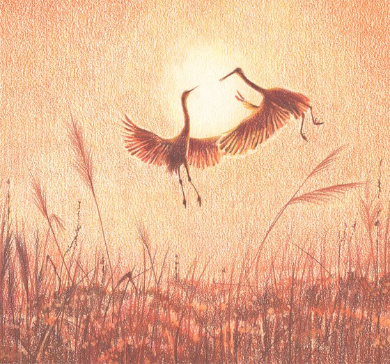 The Cranes. Sunrise.