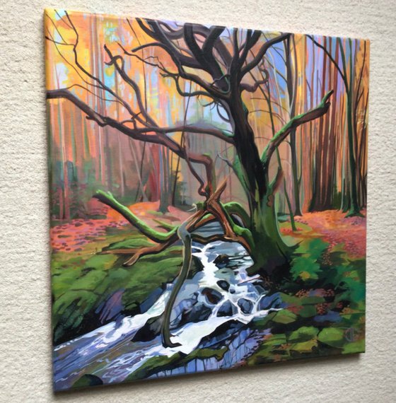 The Old Oak On The Shimna