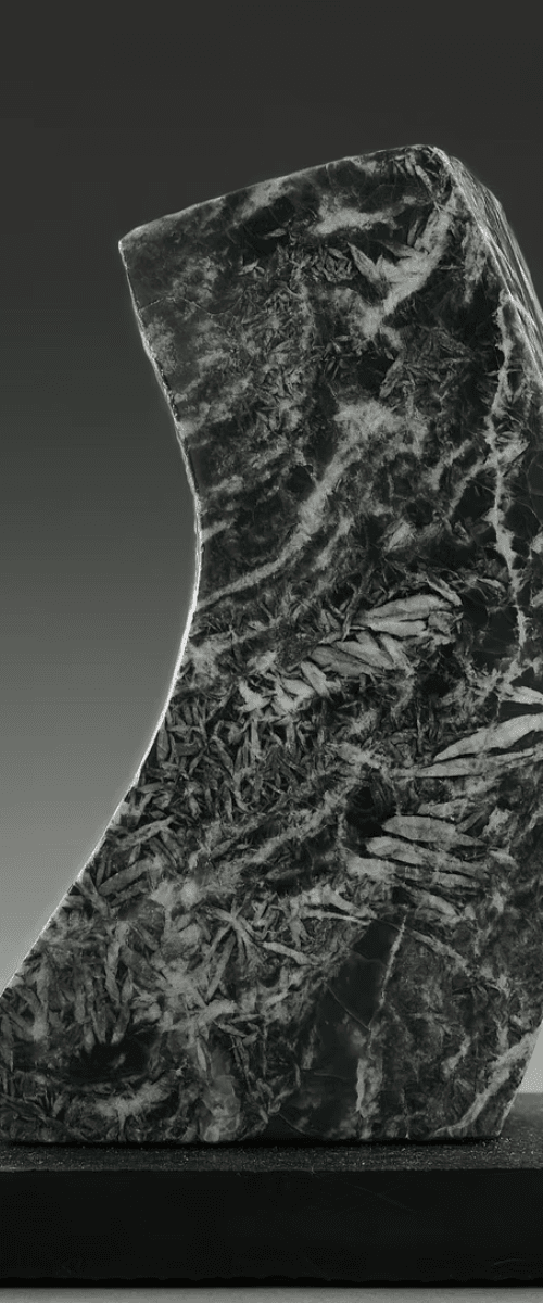 Footprints from the Past 1 by Irene Sirko