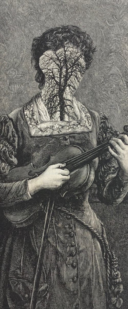 Violin by Tudor Evans