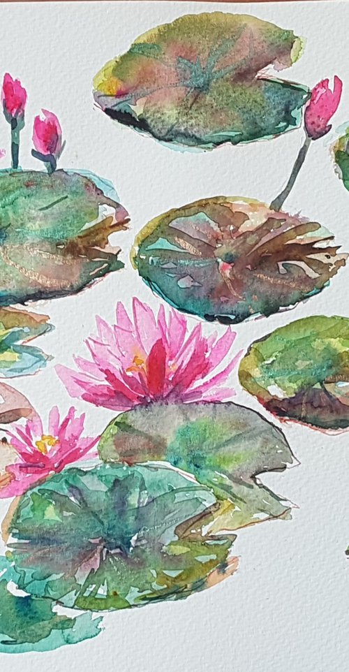Water lilies by Silvia Flores Vitiello