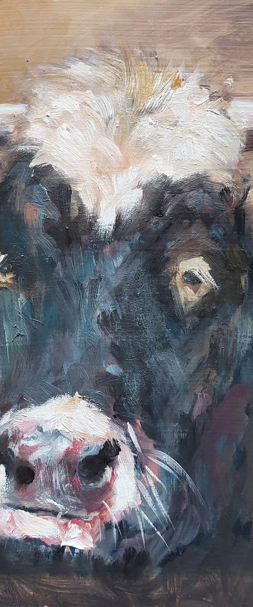 Cow by Els Driesen