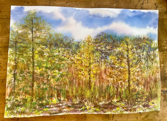 Seeing into nature