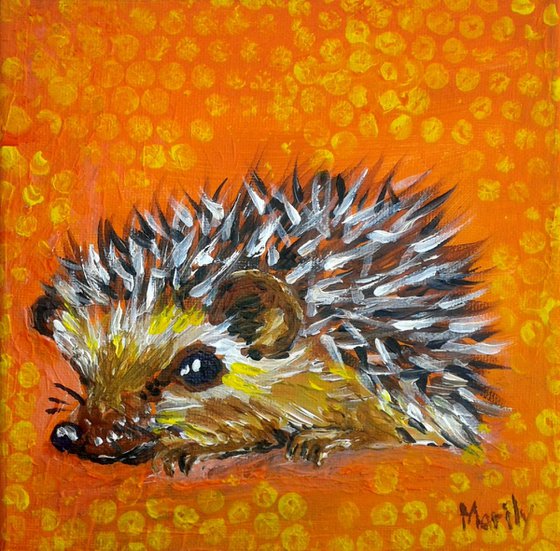 "Little hedgehog"