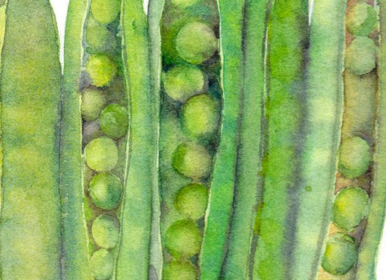 Garden Peas