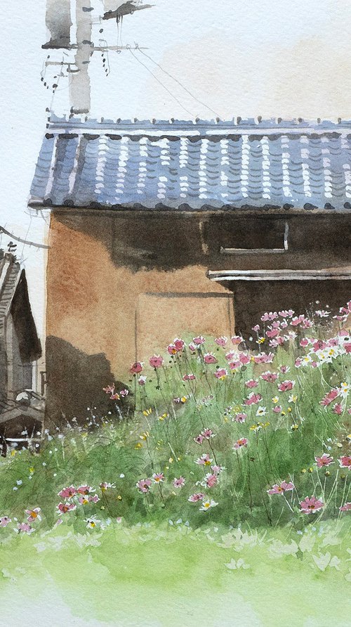 Autumn Cosmos and the Old House by Masato Watanabe