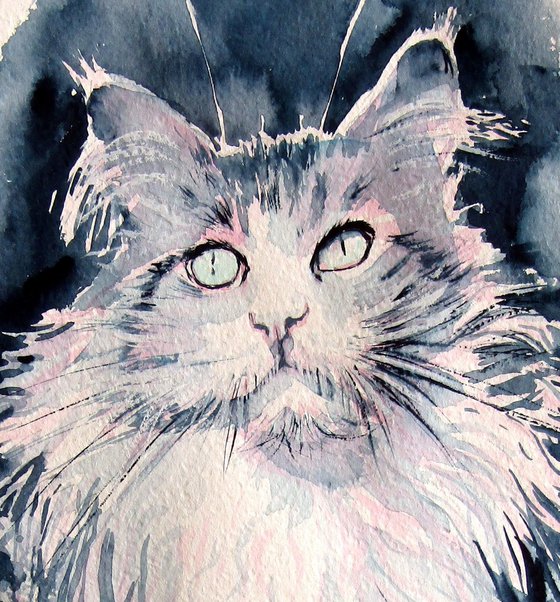 Sitting cat