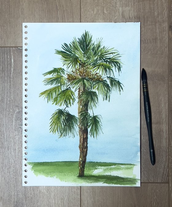 Palm tree - plein air