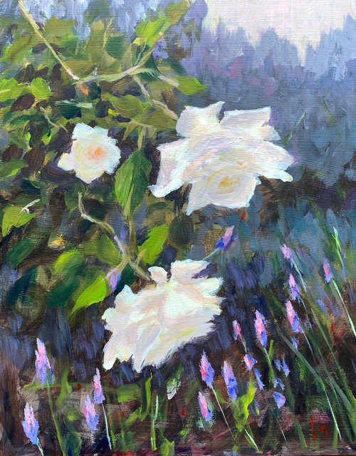 White roses and lavender by Shelly Du