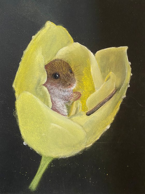 Mouse in tulip