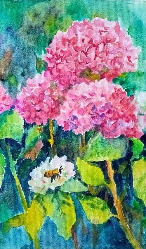 Hydrangeas flowers by Ann Krasikova