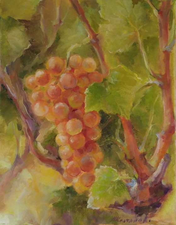 Grapes 3 11x14''