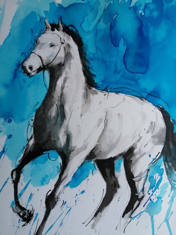 horses 24