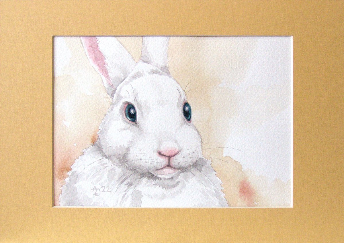 Bunny 5 by Jolanta Czarnecka
