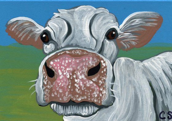 ACEO ATC Original Miniature Painting White Cow Farmyard Art-Carla Smale