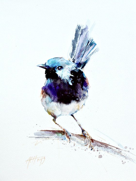 fairy wren bird watercolour