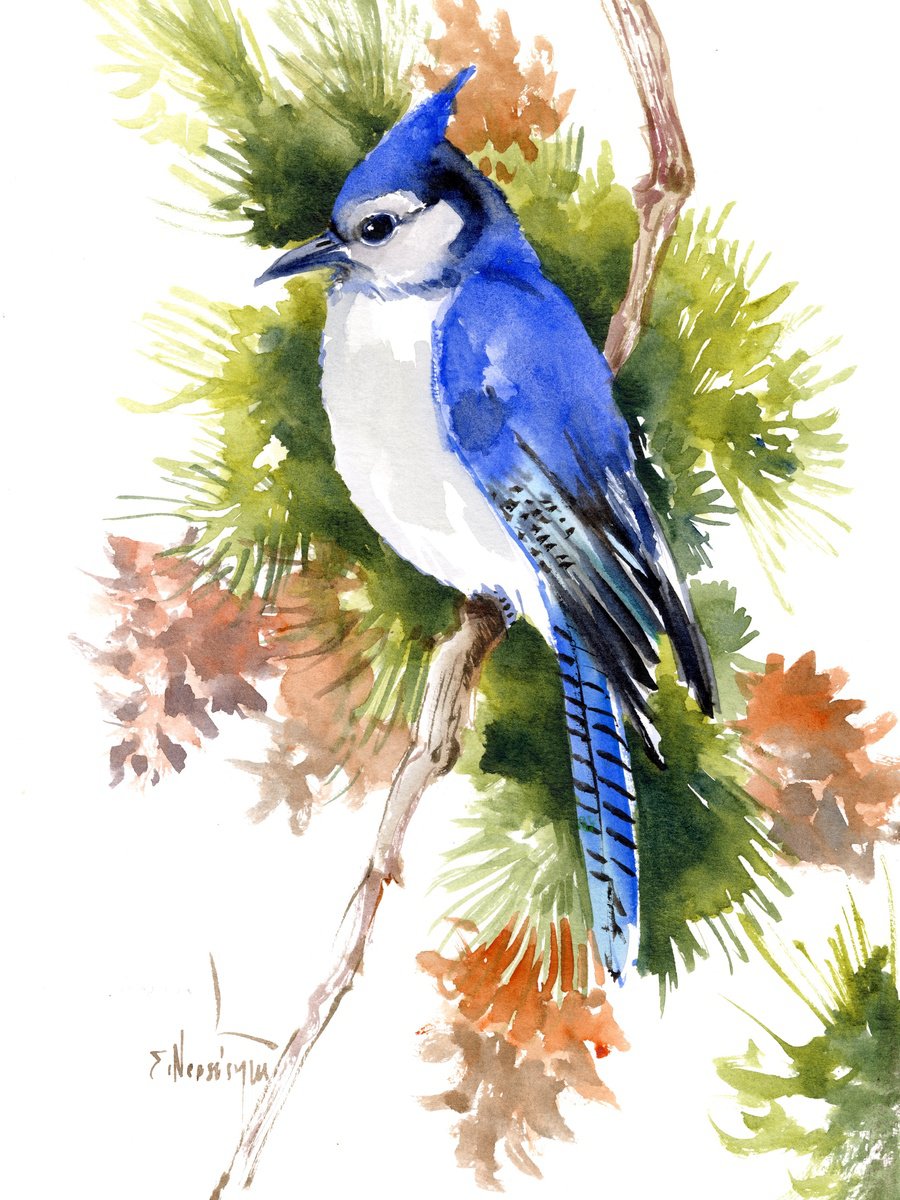 Blue Jay by Suren Nersisyan