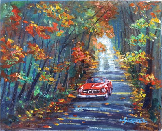 Red Car in a Autumn Forest - Landscape