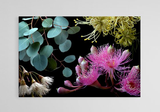 Colours of Australia