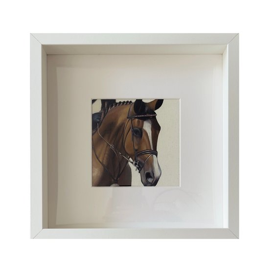 Horse Portrait