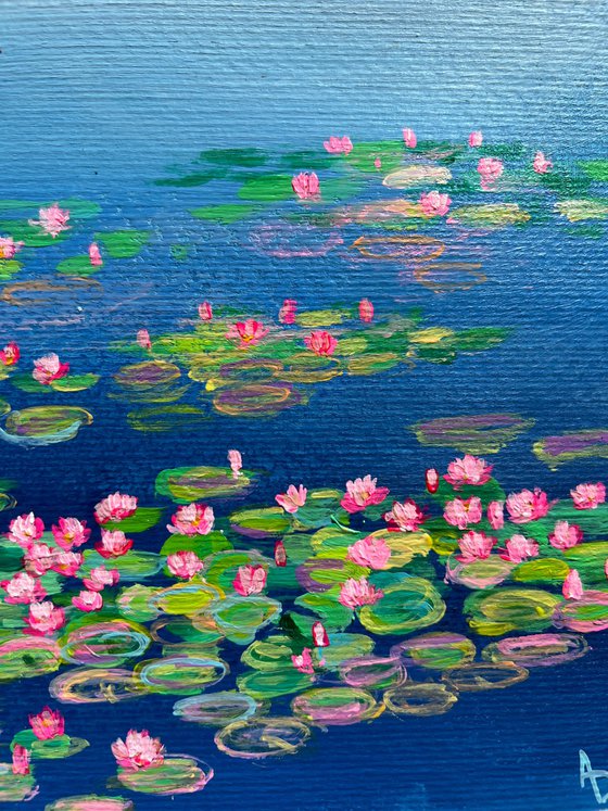 Pink water lilies bunch