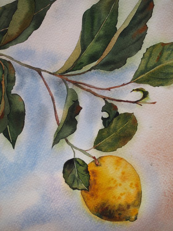 Lemons - Mediterranean still life