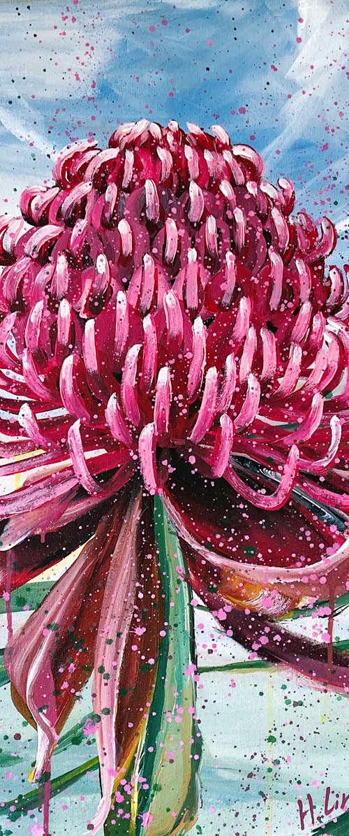 ONE LOVE ONE HEART- Bright Red Waratah by HSIN LIN