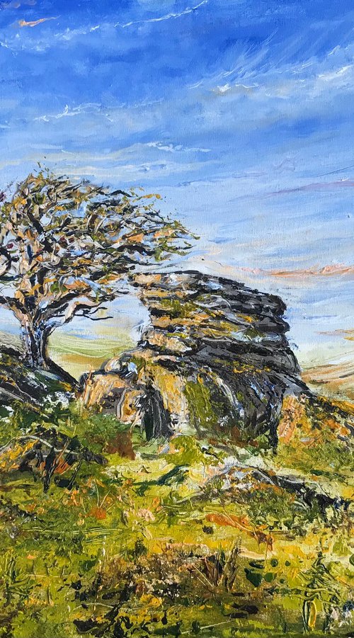 Dartmoor Tor (Commission) by Lucy Smerdon