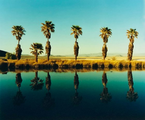 Zzyzx Resort Pool II, Soda Dry Lake, California