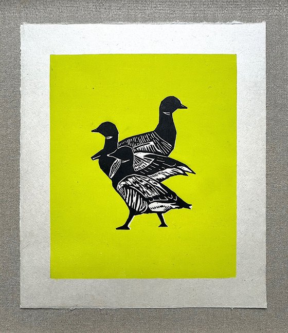 Three Brent Geese Lime Edition