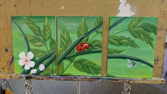 Ladybug. Triptych