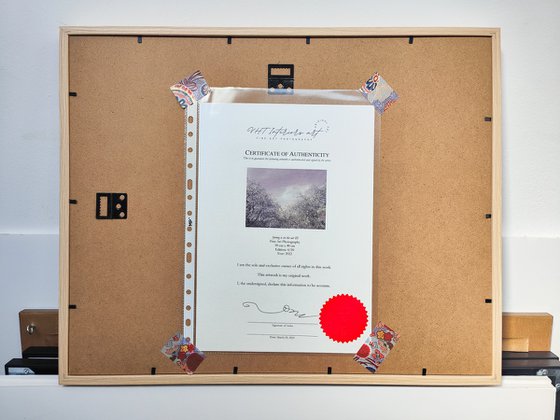 (FRAMED) Spring is in the air III