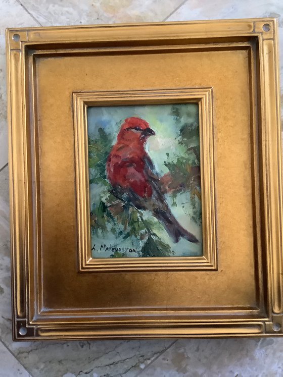 Pine Grosbeak