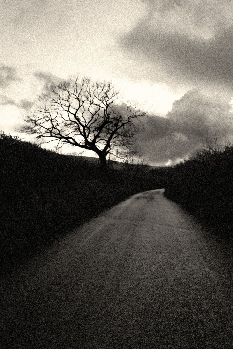 Lonely Road, Cornwall by Matt Politano