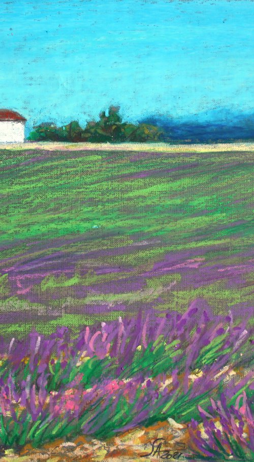 Lavender fields... /  ORIGINAL PAINTING by Salana Art Gallery