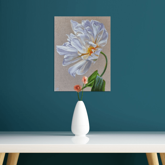 White tulip