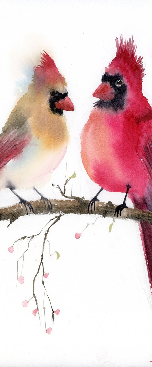 Cardinal Conversation by Olga Tchefranov (Shefranov)