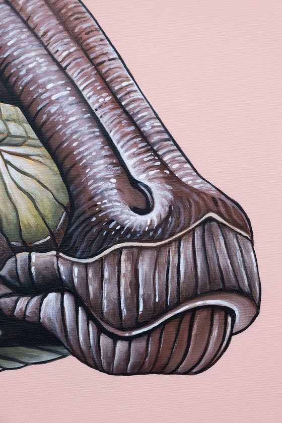 Maikosaurus